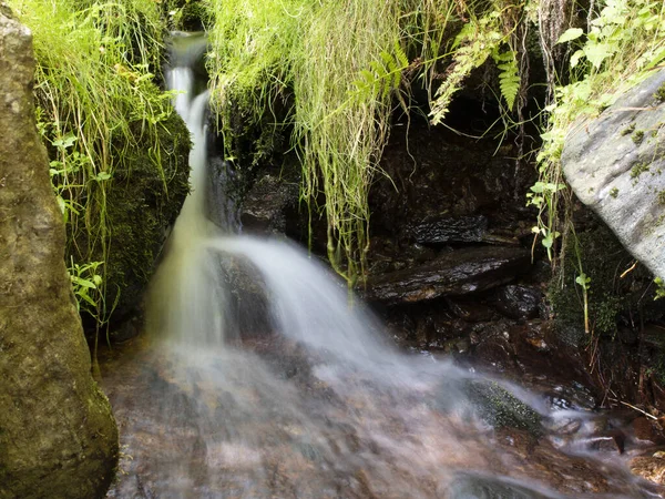 Blurred stream of a mountain stream bounces off a stone.