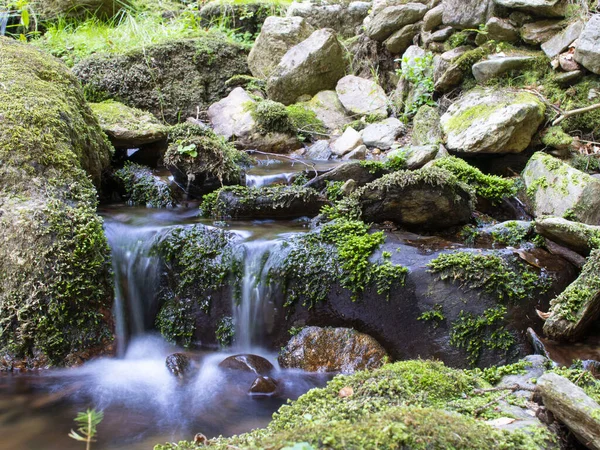 Blurred stream of a mountain stream flowing over moss and stones with lagoon.