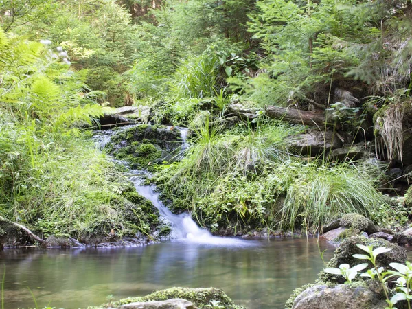 Blurred stream of a mountain stream flowing over moss and stones with small lagoon.