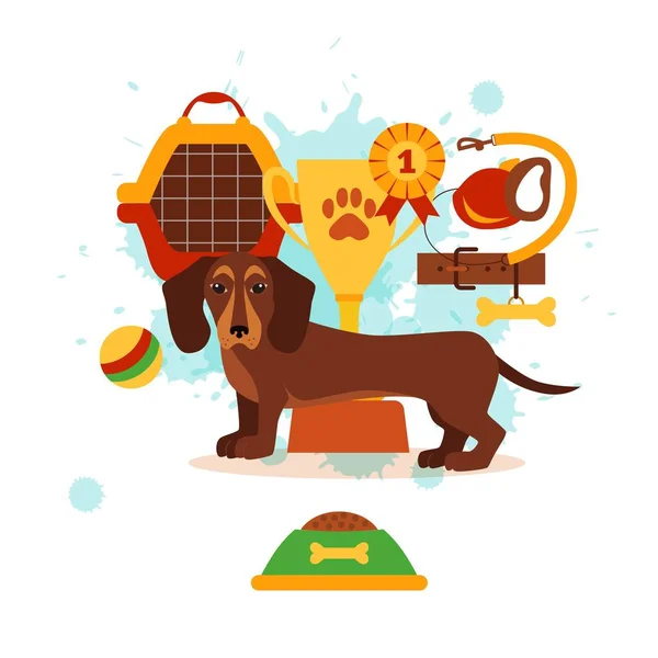 Dackelpflege-Infografik-Konzept mit Hundepflege — Stockvektor