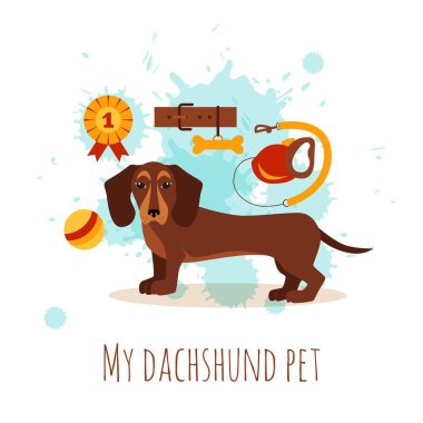 Dachshund bakım Infographic kavramı ile köpek bakım