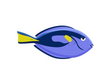 Deniz yaşamı tropikal renkli balık illüstrasyon karikatür ayarlayın. Akvaryum taslak vektör tasarımı. Addis butterfish logosu