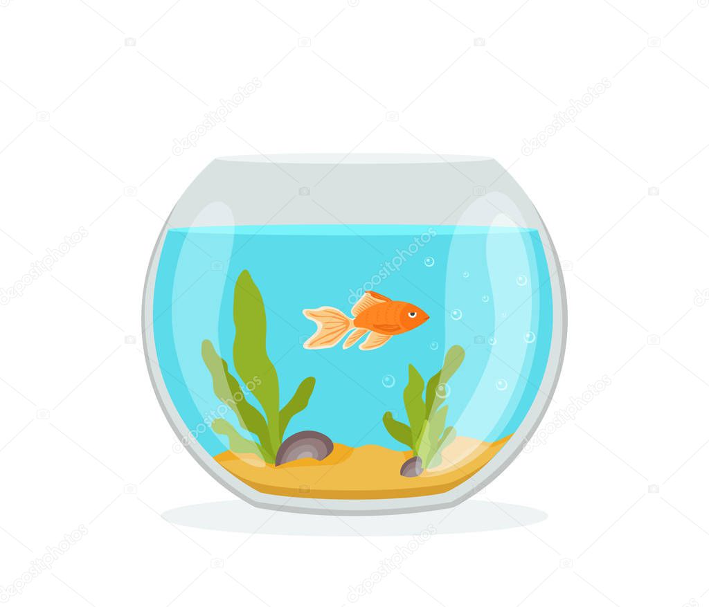 Vector aquarium golden fish silhouette illustration with water, seaweed, shells, sand bubbles. Colorful cartoon flat aquarium marine pet for your design