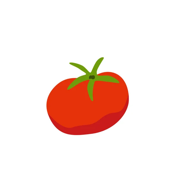 Red tomato cartoon style vector illustration. — Stock Vector