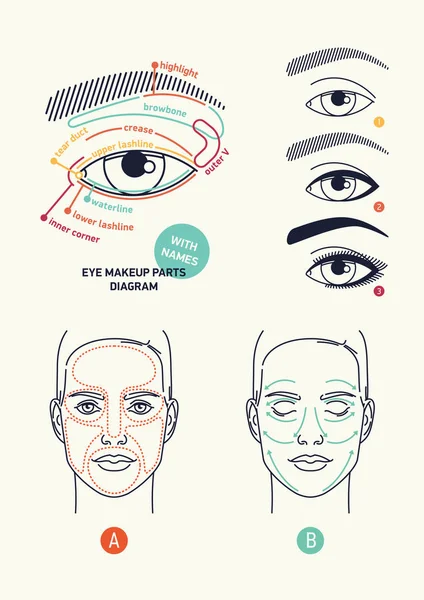 Rengör Snygg Linjär Vektor Eye Makeup Tema Diagram Och Kosmetika — Stock vektor