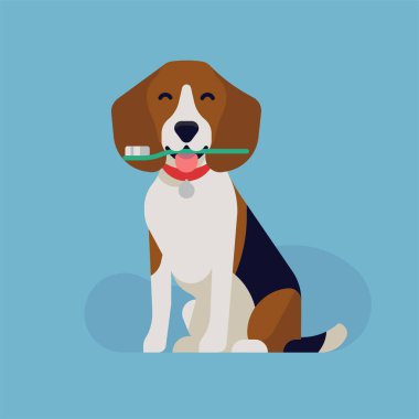 Köpek dişleri için süper bir tasarım. Köpek diş sağlığı konsepti. Diş fırçası tutan mutlu bir av köpeği.