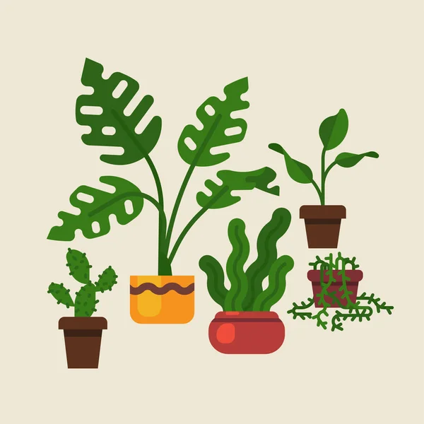 Lovely Flat Design Vector Domestic Plants Featuring Swiss Cheese Plant — Stock Vector