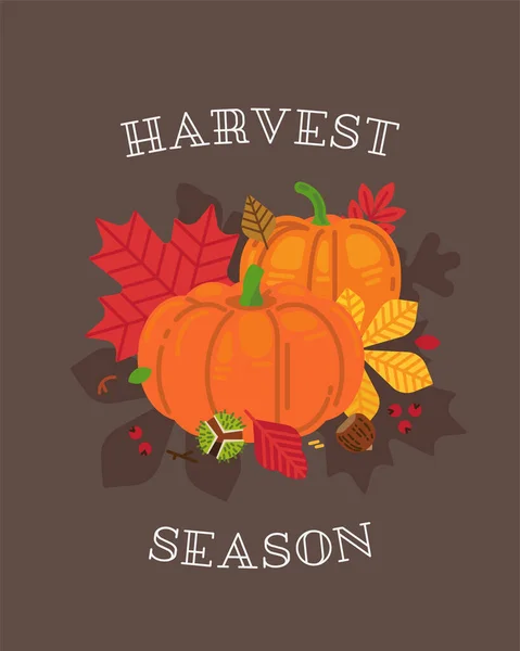 Harvest Season Vector Background Cards Banners Posters Fall Autumn Themed — Stock Vector