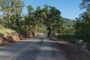 Kaliforniya'daki Tehachapi Dağları'nda kırsal bir yol gösteren resim.
