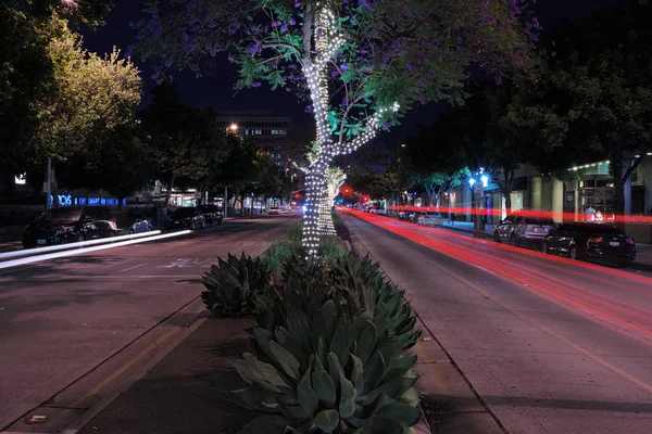 View South Lake Ave Pasadena California South Lake District Includes — Stock Photo, Image