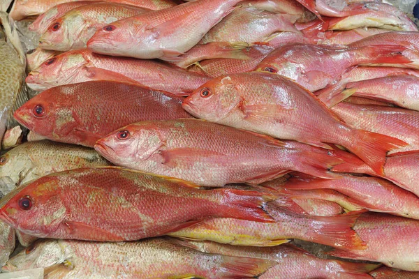 Image Taken Fish Market San Pedro Los Angeles County — Stock Photo, Image