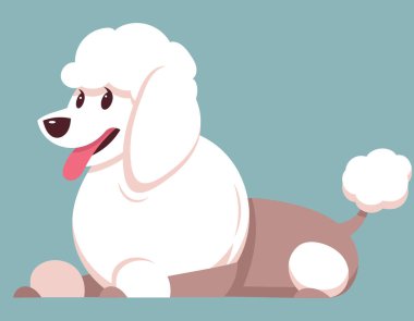 Yalancı Kaniş yan görünümü.