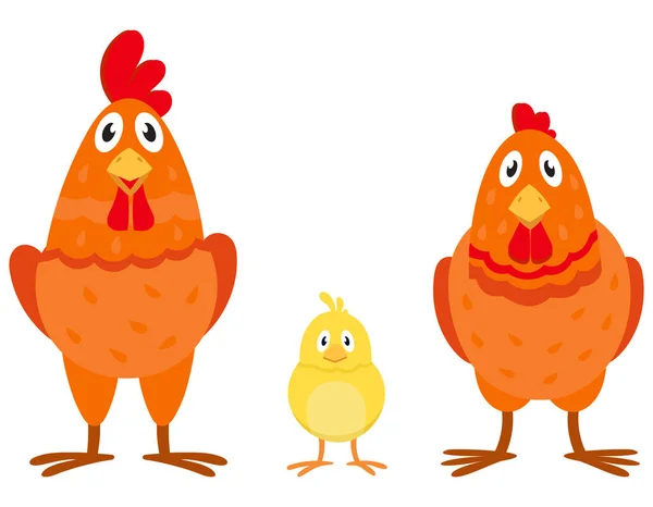Csirke Családi Kilátás Különböző Nemű Korú Tenyésztett Madarak — Stock Vector