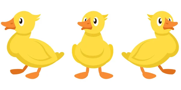 Duckling Different Poses Farm Bird Cartoon Style — Stock Vector