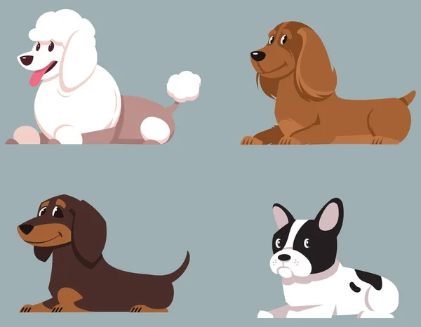 Liegende Hunde Pudel Cocker Spaniel Dackel Und Französische Bulldogge Cartoon — Stockvektor