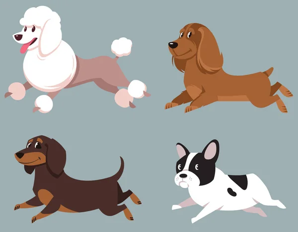 Conjunto Perros Corriendo Poodle Cocker Spaniel Dachshund Bulldog Francés Estilo — Vector de stock