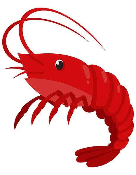 Shrimp Cartoon Style Sea Animal Isolated White Background — Stock Vector