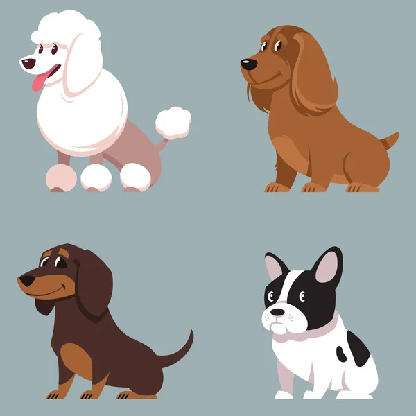 Conjunto Perros Sentados Poodle Cocker Spaniel Dachshund Bulldog Francés Estilo — Vector de stock