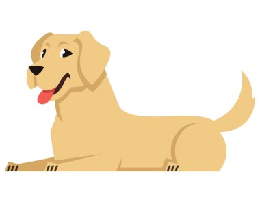 Labrador 'un yan görüntüsü yalan. Çizgi film tarzında sevimli bir hayvan..