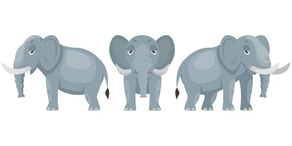 Ελέφαντας σε διαφορετικές στάσεις. — Διανυσματικό Αρχείο