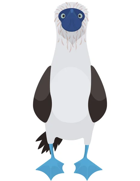 Vista frontal booby de patas azules . — Vector de stock