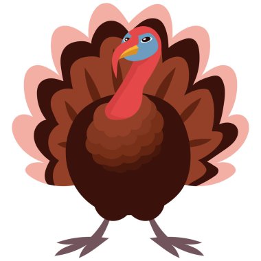 Gobbler ön görünümü.