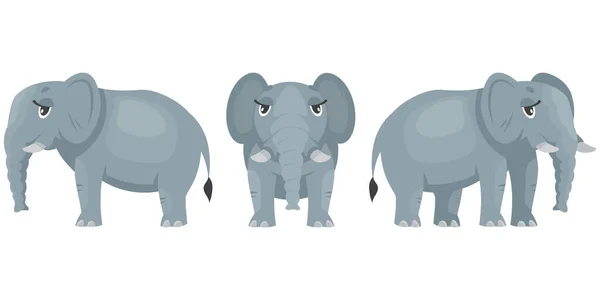 Female Elephant Different Poses African Animal Cartoon Style — Stock Vector