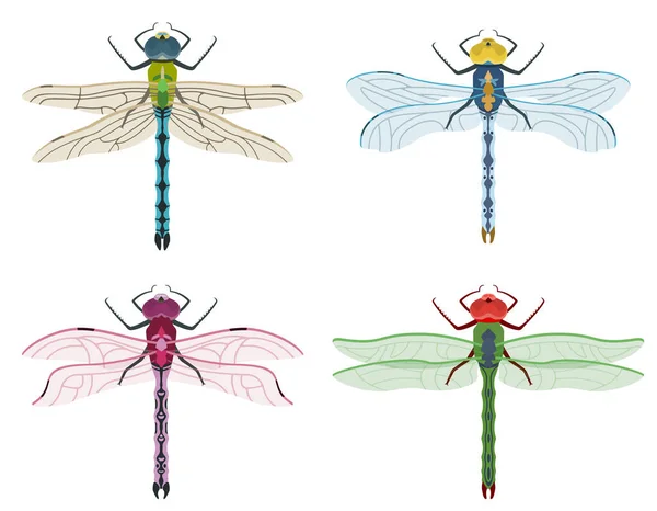 Een Stel Libellen Insecten Van Verschillende Kleuren — Stockvector