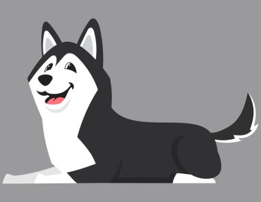 Yalancı Sibirya Husky bakış açısı. Çizgi film tarzında sevimli bir hayvan..
