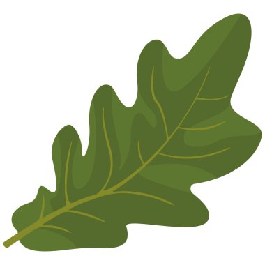 Beyaz arka planda meşe yaprağı izole edilmiş. Çizgi film tarzında ağacın bir parçası.