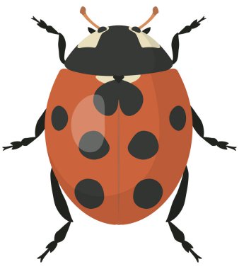 Çizgi film tarzında uğur böceği.