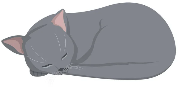 Sleeping Russian Blue cat. — Stock Vector