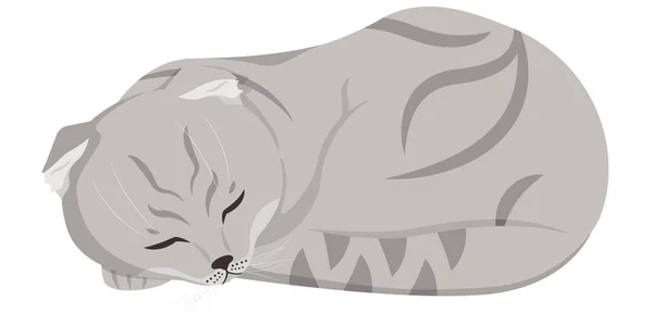 Κοιμισμένη Γάτα Αυτιά Όμορφο Κατοικίδιο Στυλ Κινουμένων Σχεδίων — Διανυσματικό Αρχείο