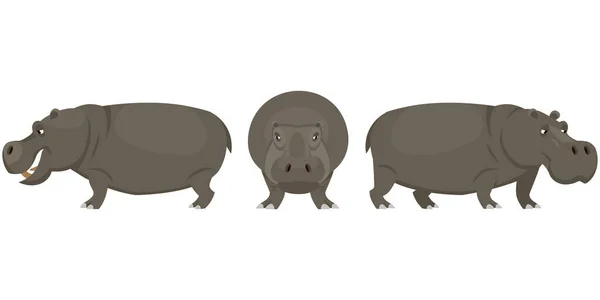 Hippopotame Dans Différentes Poses Animal Africain Dans Style Dessin Animé — Image vectorielle