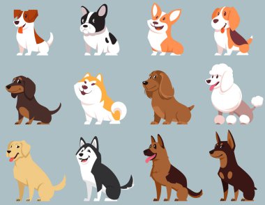 Farklı cinsten oturan köpekler. Kocaman sevimli evcil hayvanlar..