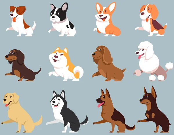 Perros de diferentes razas dando pata. — Vector de stock