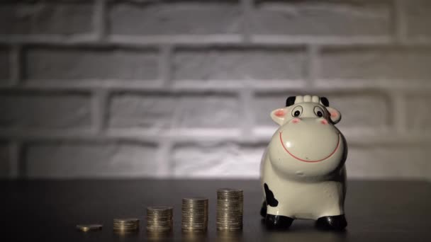 男性的手特写 扔硬币 欧元在猪银行 有黑斑的白母牛笑着存钱 — 图库视频影像