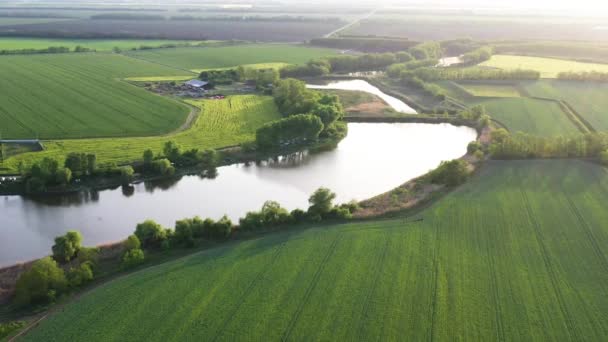 Střílelo Něj Shora Břeh Rybníka Horizont Modrá Obloha Pšeničná Pole — Stock video