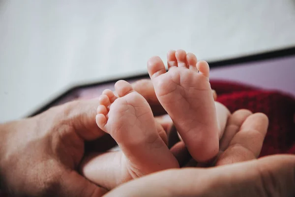 Legs of a newborn baby without socks