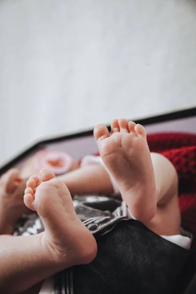 Legs Newborn Baby Socks Stock Picture