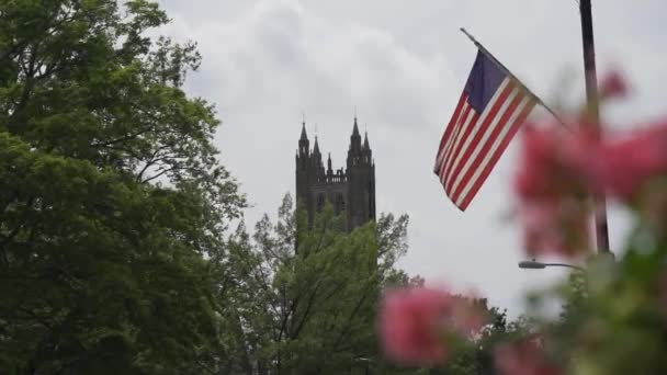 Amerikai Zászló Amerikai Egyesült Államokban Repül Egy Zöld Parkban Egy — Stock videók