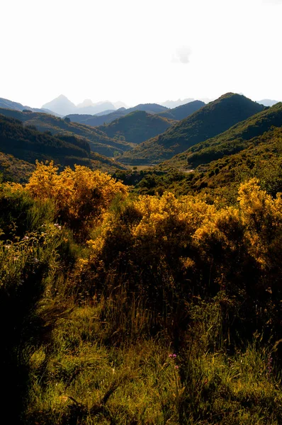 Asturias Spain June 2020 European Hill Mountains — Stock Photo, Image