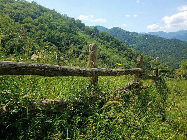 Impressive Mountain Range Fence Long Grass Bush — Stock Photo, Image