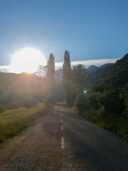 Coucher Soleil Milieu Une Route Infinie Avec Des Arbres Silhouette — Photo