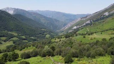İspanya 'nın kuzeyindeki keskin dağların arasında yeşil vadi yağmur ormanları var.