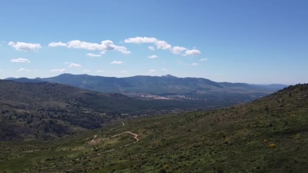 Veduta Aerea Drone Grande Foresta Verde Densa Campagna Sulle Colline — Video Stock