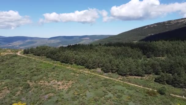 Uitzicht Vanuit Lucht Het Grote Groene Dichte Bos Het Platteland — Stockvideo