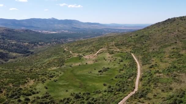 Veduta Aerea Drone Grande Foresta Verde Densa Campagna Sulle Colline — Video Stock