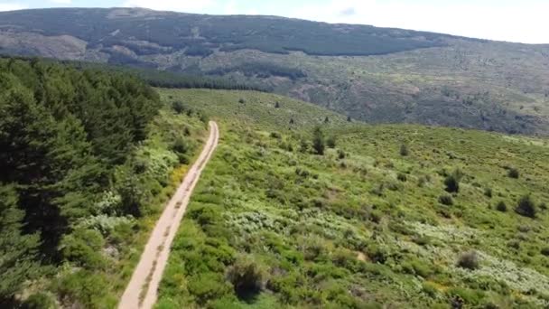 Vue aérienne par drone d'une grande forêt dense et verte à la campagne dans les collines avec une végétation verdoyante et des montagnes à Madrid, Espagne. Ciel bleu, pendant la journée. Des arbres. Tournage lent cinématographique