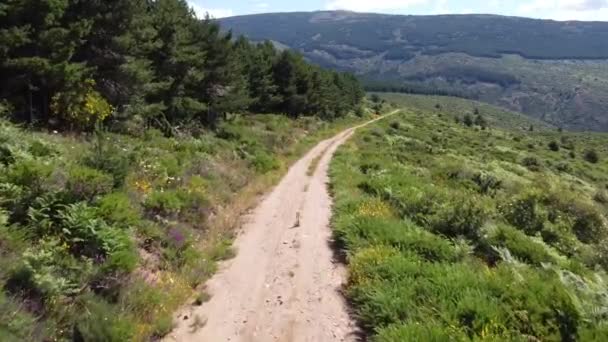 Vue aérienne par drone d'une grande forêt dense et verte à la campagne dans les collines avec une végétation verdoyante et des montagnes à Madrid, Espagne. Ciel bleu, pendant la journée. Des arbres. Tournage lent cinématographique
